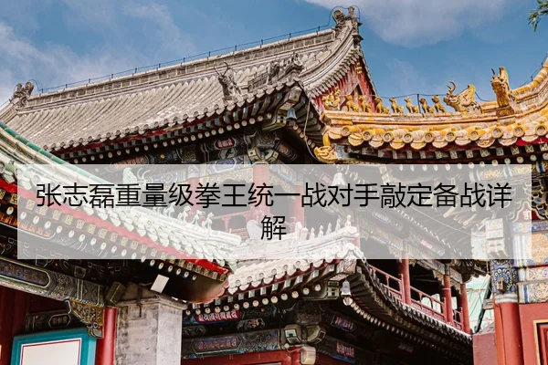 zhang-zhi-lei-zhong-liang-ji-quan-wang-tong-yi-zhan-dui-shou-qiao-ding-bei-zhan-xiang-jie-2-214.jpg